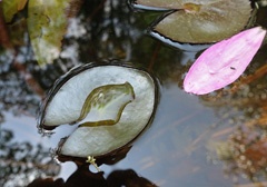 DSC01332a